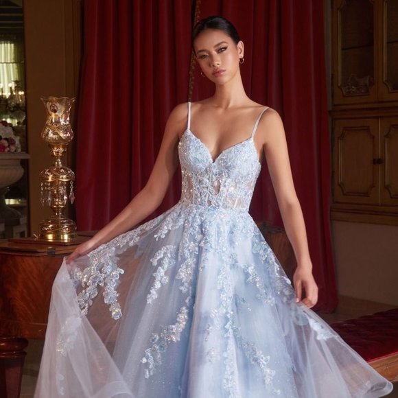 NEW A-LINE SLEEVELESS FORMAL TULLE DRESS EMBROIDERED WITH FLORAL LACE CD CM347 - Picture 4 of 10